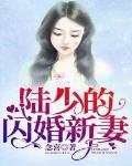 陆少的闪婚新妻