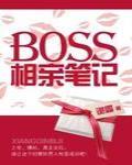 Boss相亲笔记