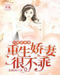 闪婚甜蜜蜜：重生娇妻，很不乖